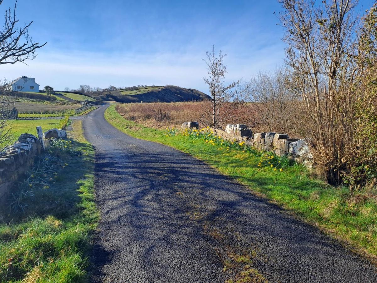 Blaneys Coastal Cottage Mountcharles Экстерьер фото